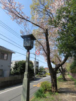 2021_906s200402.jpg