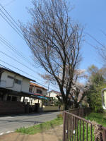 2032_917s200402.jpg