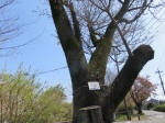 2034_917s200402.jpg