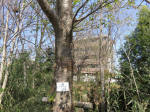 2040_ks13s200402.jpg