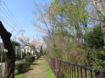 2048_ks14s200402.jpg