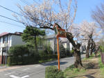 2050_925s200402.jpg