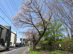 2058_930s200402.jpg