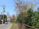2065_ks15s200402.jpg