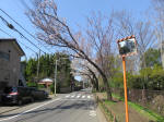 2067_935s200402.jpg