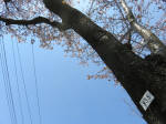 2068_935s200402.jpg
