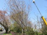 2086_ks19s200402.jpg