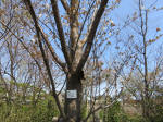 2087_ks19s200402.jpg