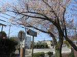 2096_958s200402.jpg