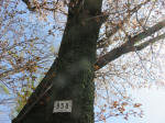 2097_958s200402.jpg