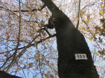 2099_960s200402.jpg