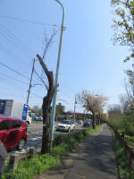 2102_181s200402.jpg