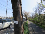 2103_181s200402.jpg