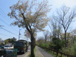 2104_183s200402.jpg