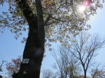 2105_183s200402.jpg