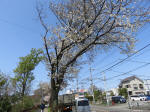 2106_185s200402.jpg