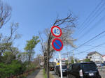 2108_186s200402.jpg