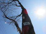 2110_186s200402.jpg