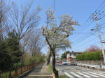 2118_201s200402.jpg