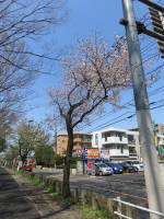 2121_209s200402.jpg