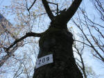 2122_209s200402.jpg