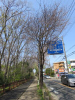 2123_210s200402.jpg