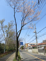 2126_212s200402.jpg