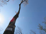 2128_212s200402.jpg