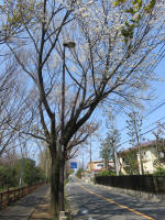 2129_215s200402.jpg