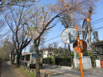 2131_216s200402.jpg