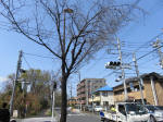 2134_228s200402.jpg
