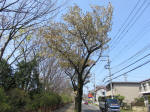 2141_237s200402.jpg