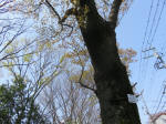 2142_237s200402.jpg