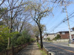 2143_238s200402.jpg