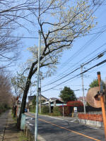2149_253s200402.jpg