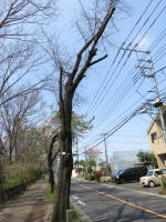 2158_261s200402.jpg