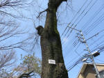2159_261s200402.jpg
