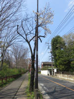 2160_266s200402.jpg