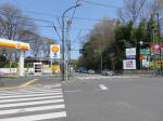 2166_koganeibasi.jpg