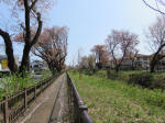 2174_kn58s200402.jpg