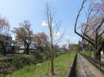2176_kn60s200402.jpg