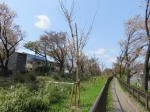 2188_kn70s200402.jpg
