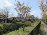 2198_kn38s200402.jpg