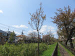 2203_kn34s200402.jpg