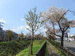 2213_kn35s200402.jpg