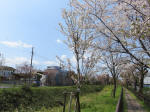 2218_kn42s200402.jpg