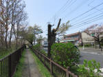 2231_309s200402.jpg