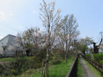 2233_kn45s200402.jpg