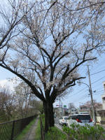 2235_311s200402.jpg