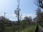 2241_kn48s200402.jpg